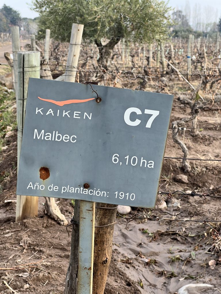 Vigne Vecchie Bodega Kaiken | Il Gusto Relativo