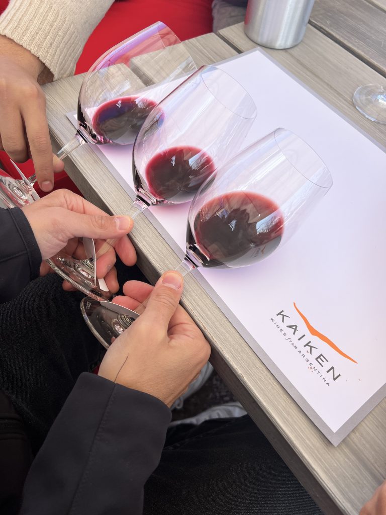 Campioni Bodega Kaiken | Il Gusto Relativo